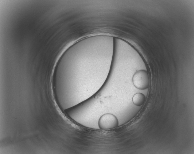 X0000063520949200602032106