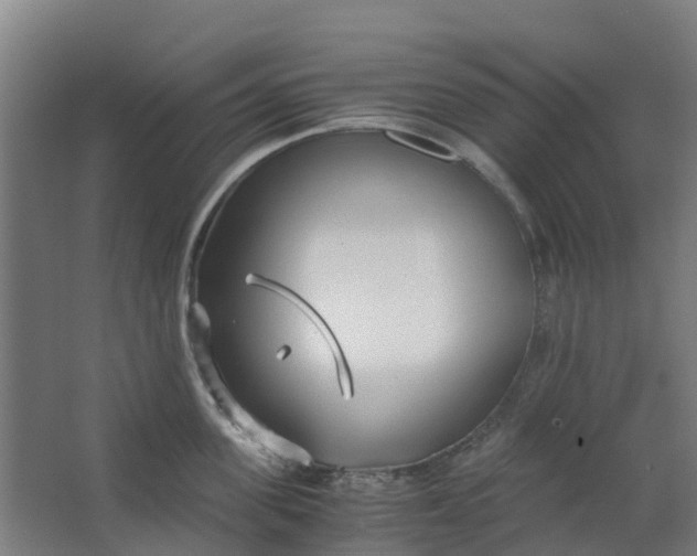 X0000063520955200602032106