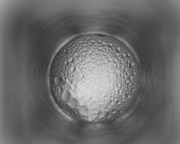 X0000063520957200602032106