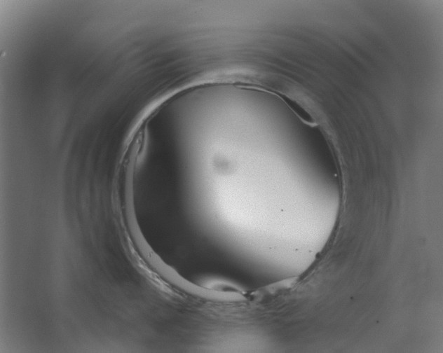 X0000063520960200602032106