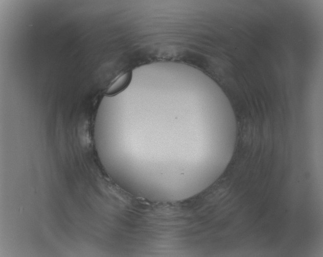 X0000063520962200602032106