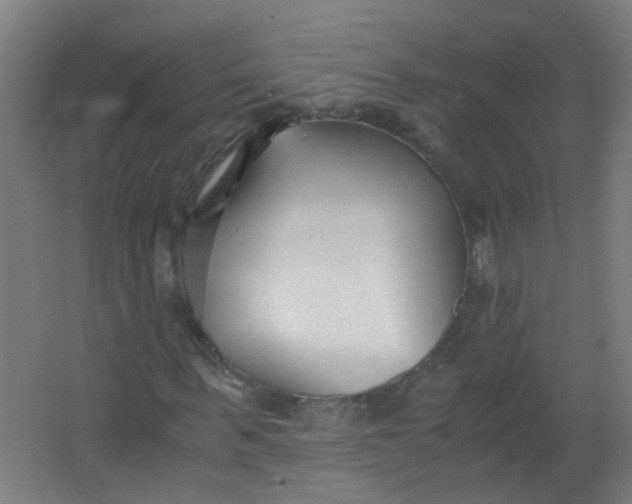 X0000063520963200602032106