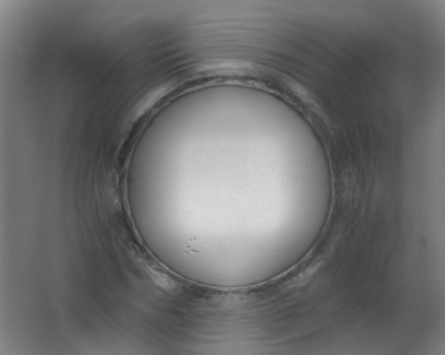 X0000063520970200602032106