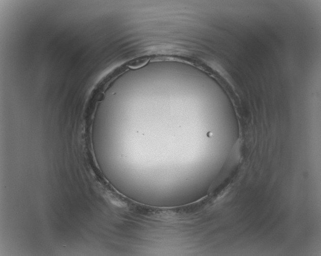 X0000063520971200602032105