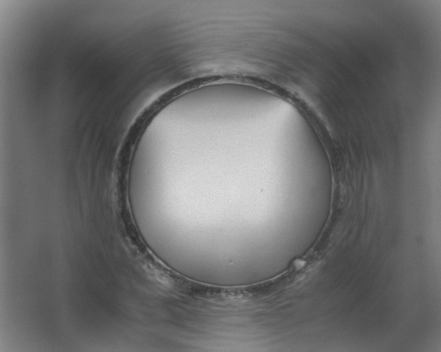 X0000063520975200602032105