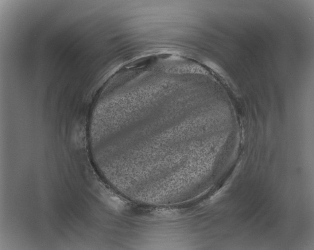 X0000063520977200602032105