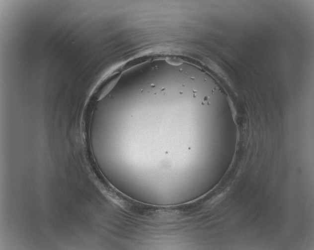 X0000063520981200602032105