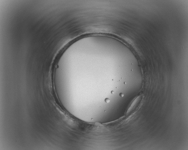 X0000063520982200602032105