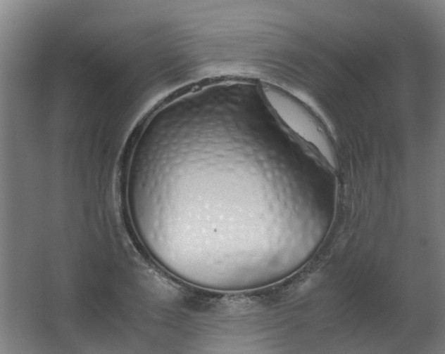 X0000063520983200602032105