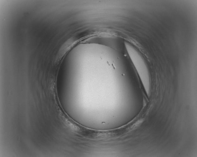 X0000063520985200602032105