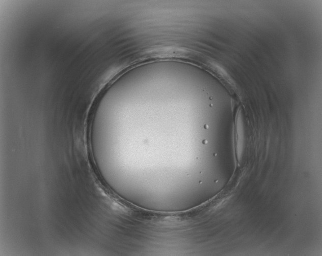 X0000063520986200602032105