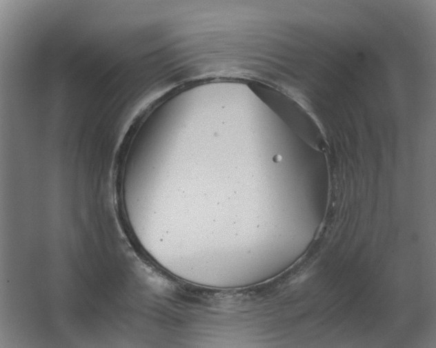 X0000063520987200602032105