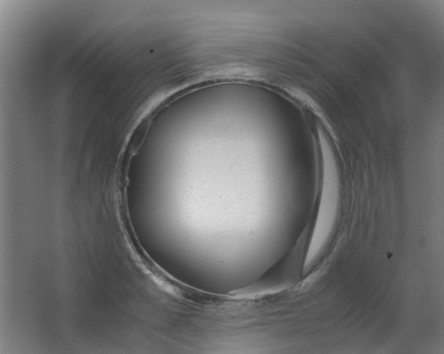 X0000063520989200602032105