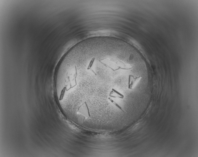 X0000063520994200602032105