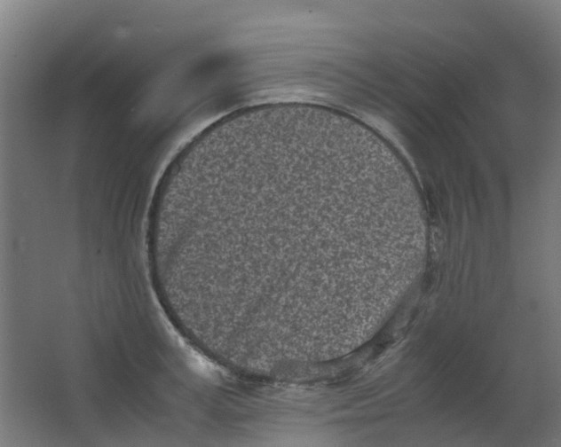 X0000063520995200602032105