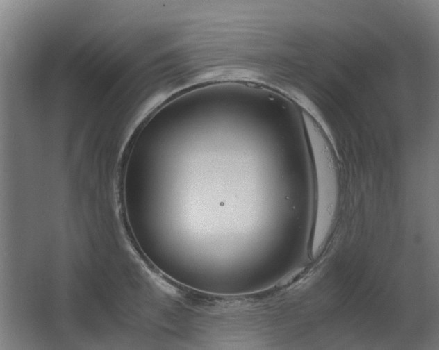 X0000063520997200602032105