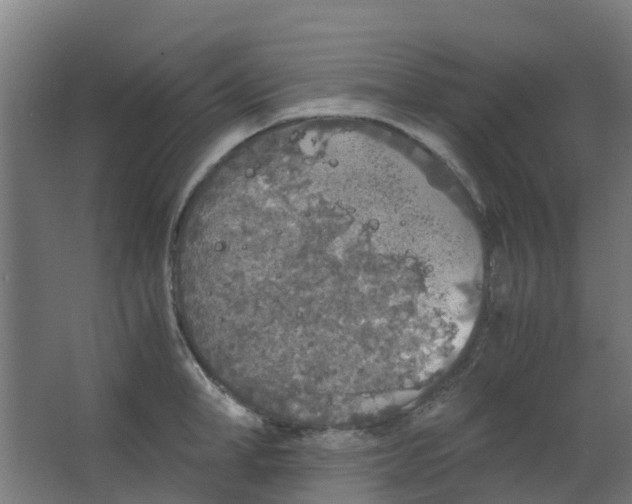 X0000063520998200602032105