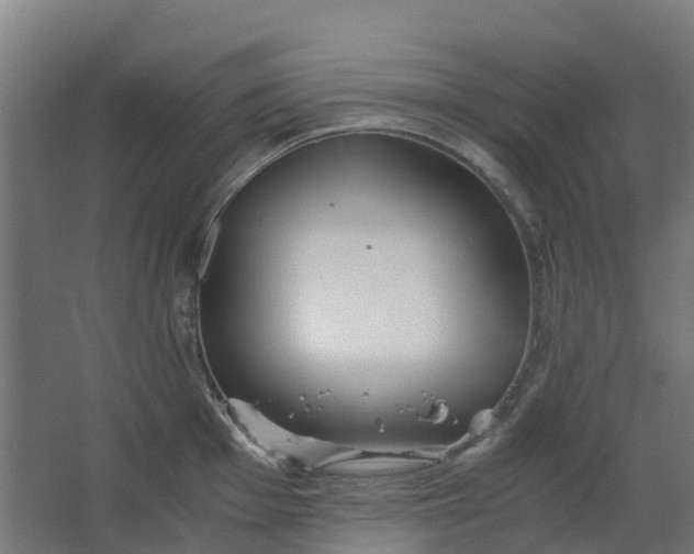 X0000063521001200602032105