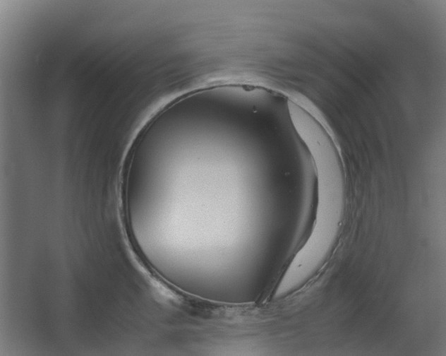 X0000063521005200602032105