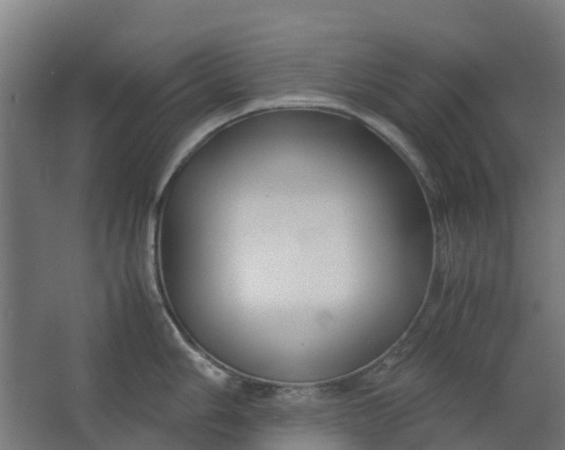 X0000063521006200602032105