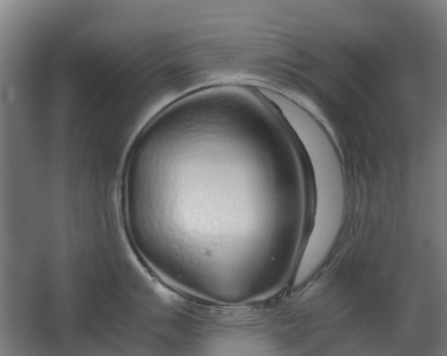 X0000063521007200602032105