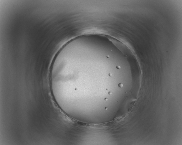 X0000063521008200602032105