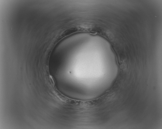 X0000063521009200602032104