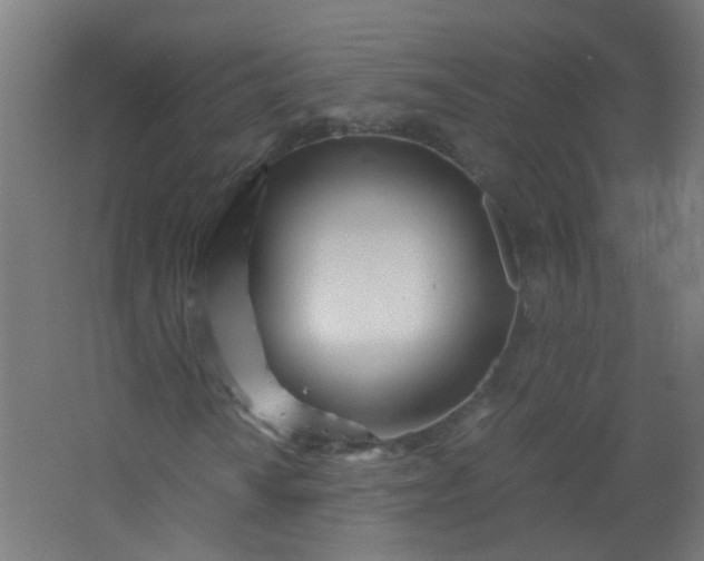 X0000063521010200602032104