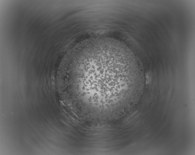 X0000063521011200602032104