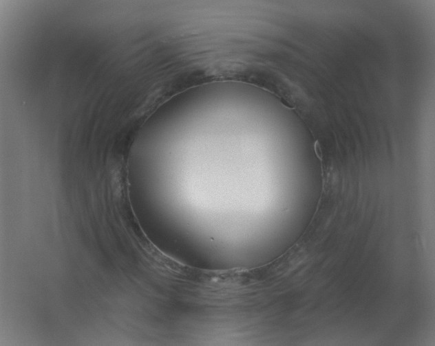 X0000063521012200602032104