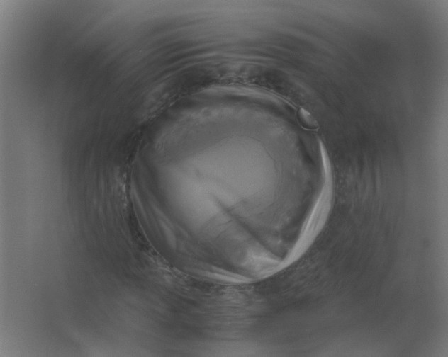 X0000063521013200602032104