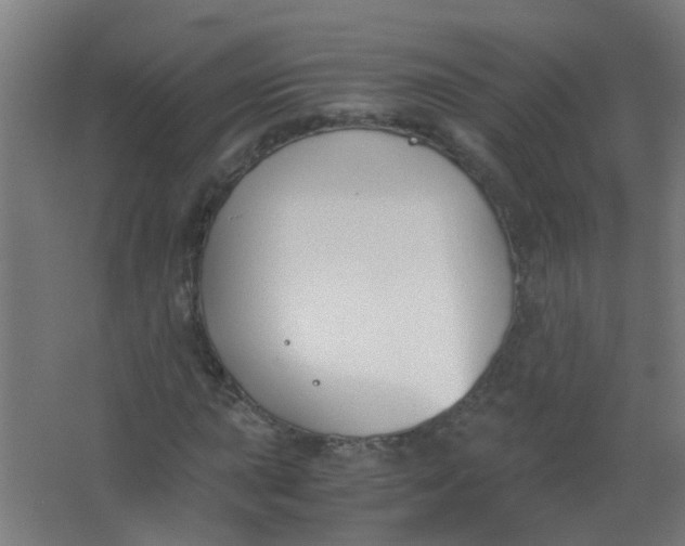 X0000063521015200602032104