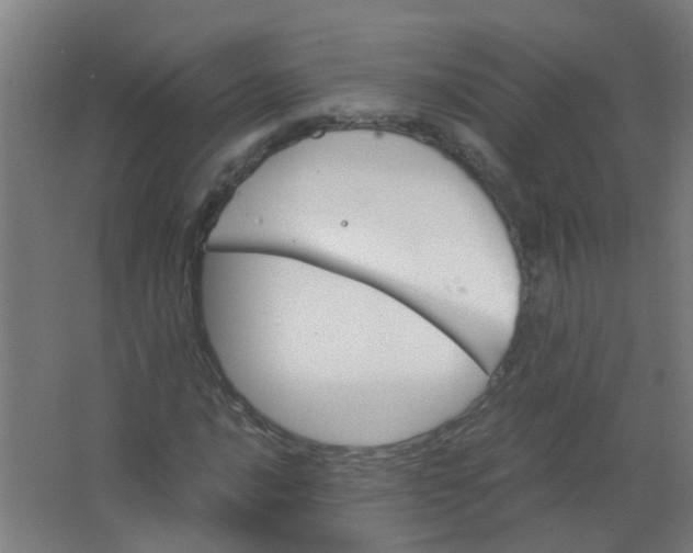 X0000063521016200602032104