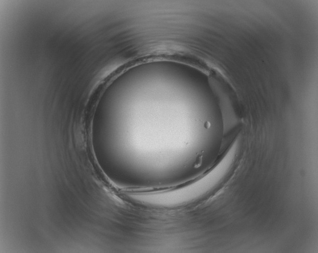 X0000063521018200602032104