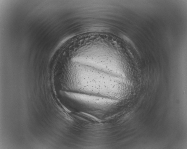 X0000063521019200602032104