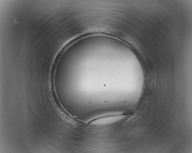 X0000063521020200602032104