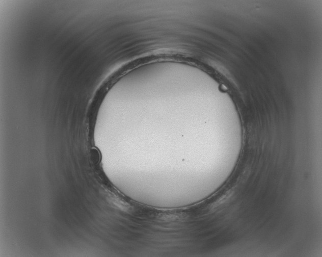 X0000063521021200602032104