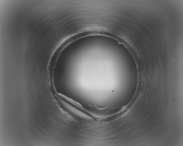 X0000063521022200602032104