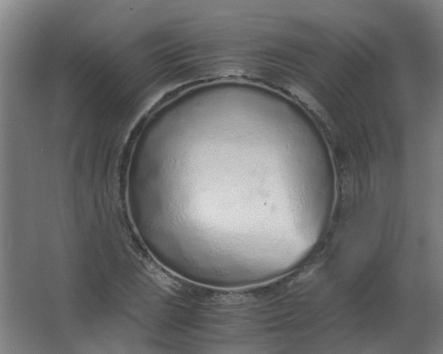 X0000063521023200602032104