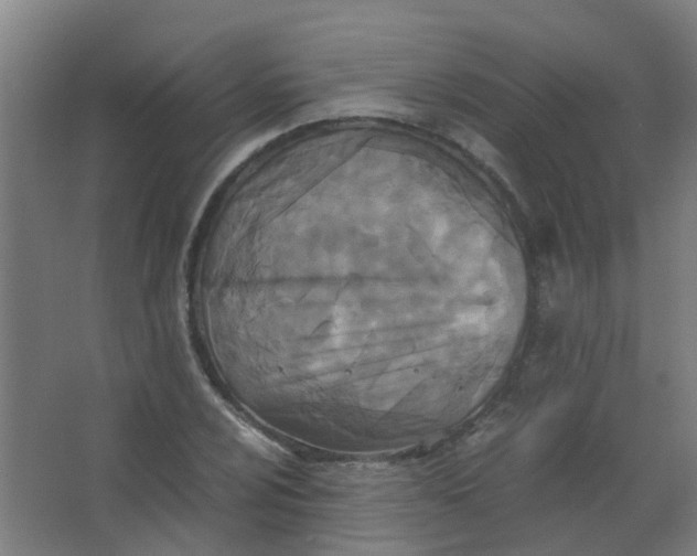 X0000063521024200602032104