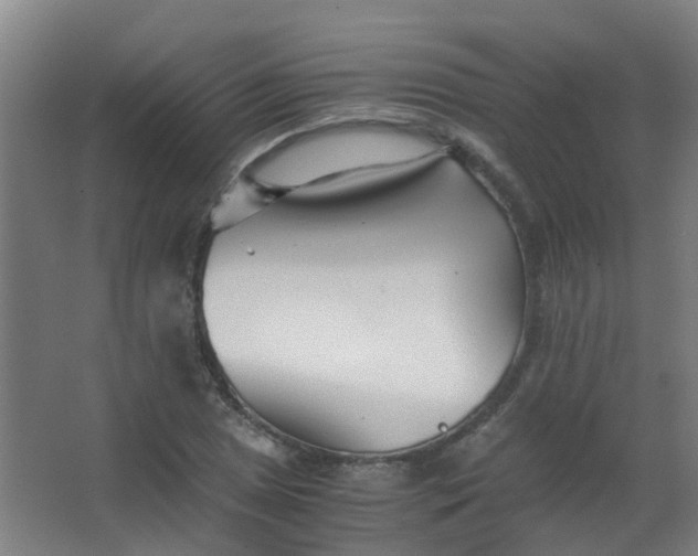 X0000063521025200602032104