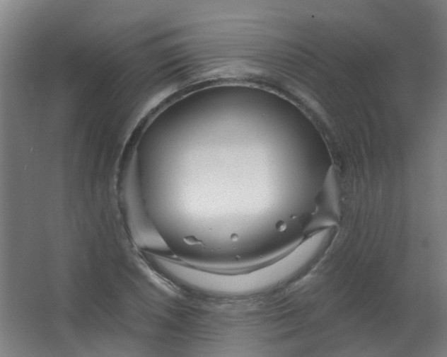 X0000063521026200602032104