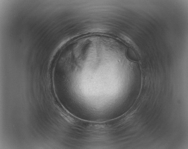 X0000063521027200602032104