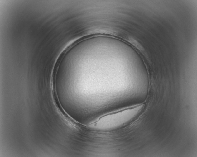 X0000063521028200602032104