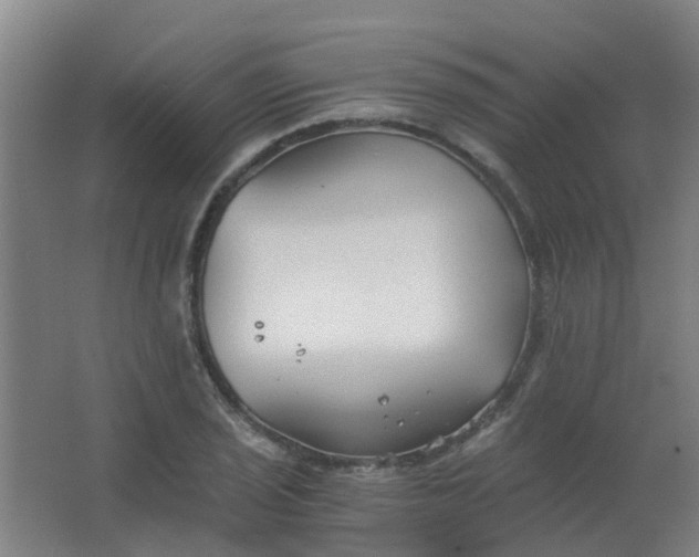 X0000063521029200602032104