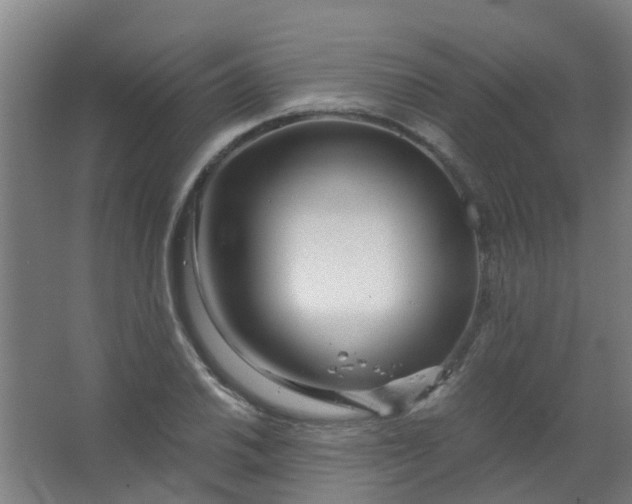 X0000063521030200602032104