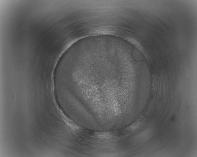 X0000063521031200602032104