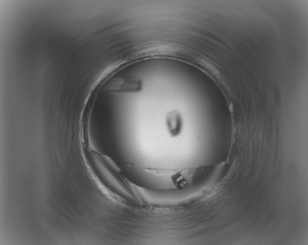 X0000063521034200602032104