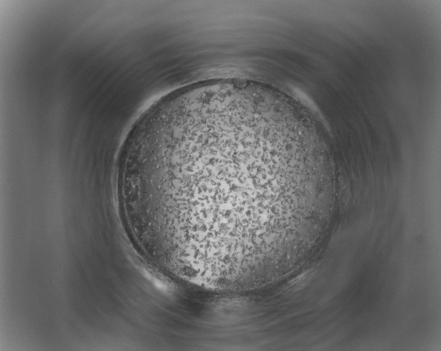 X0000063521035200602032105