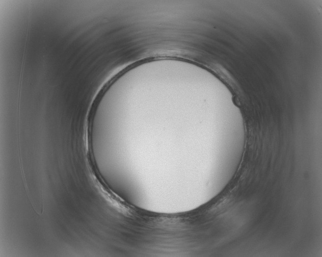 X0000063521036200602032105